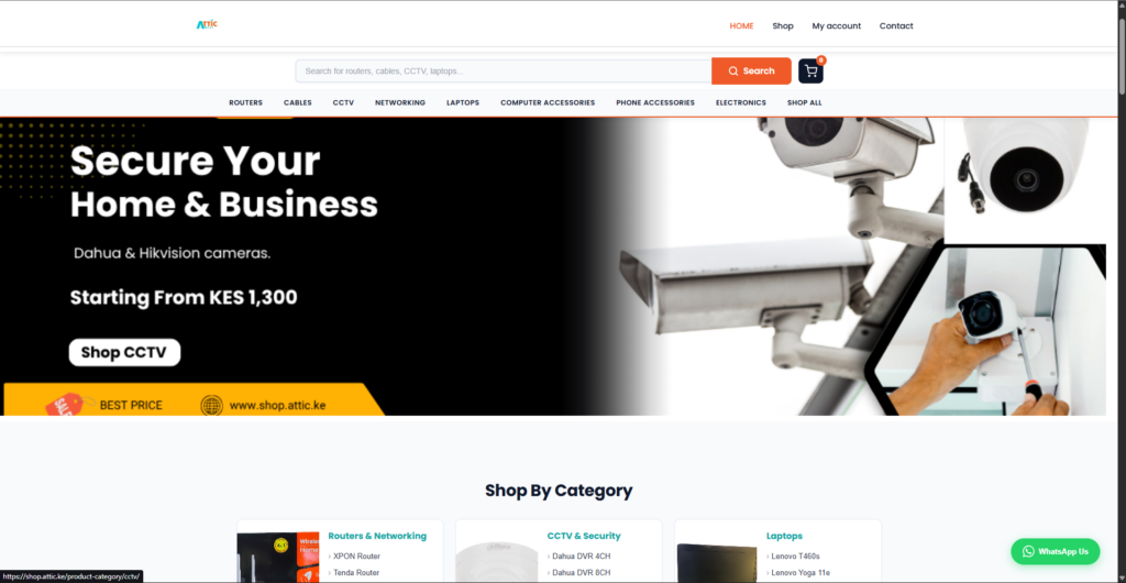 Stancy-labs-websites-kenya